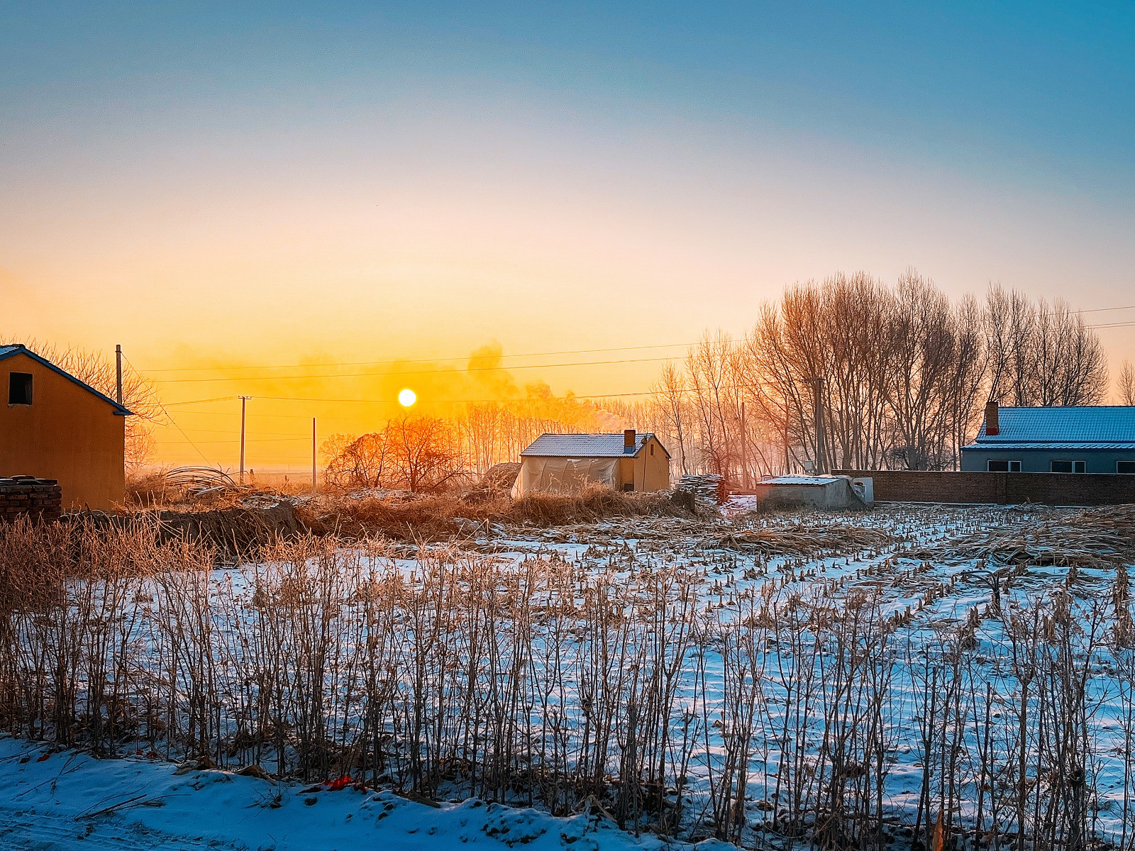 980蔡子木 《暖》.jpg