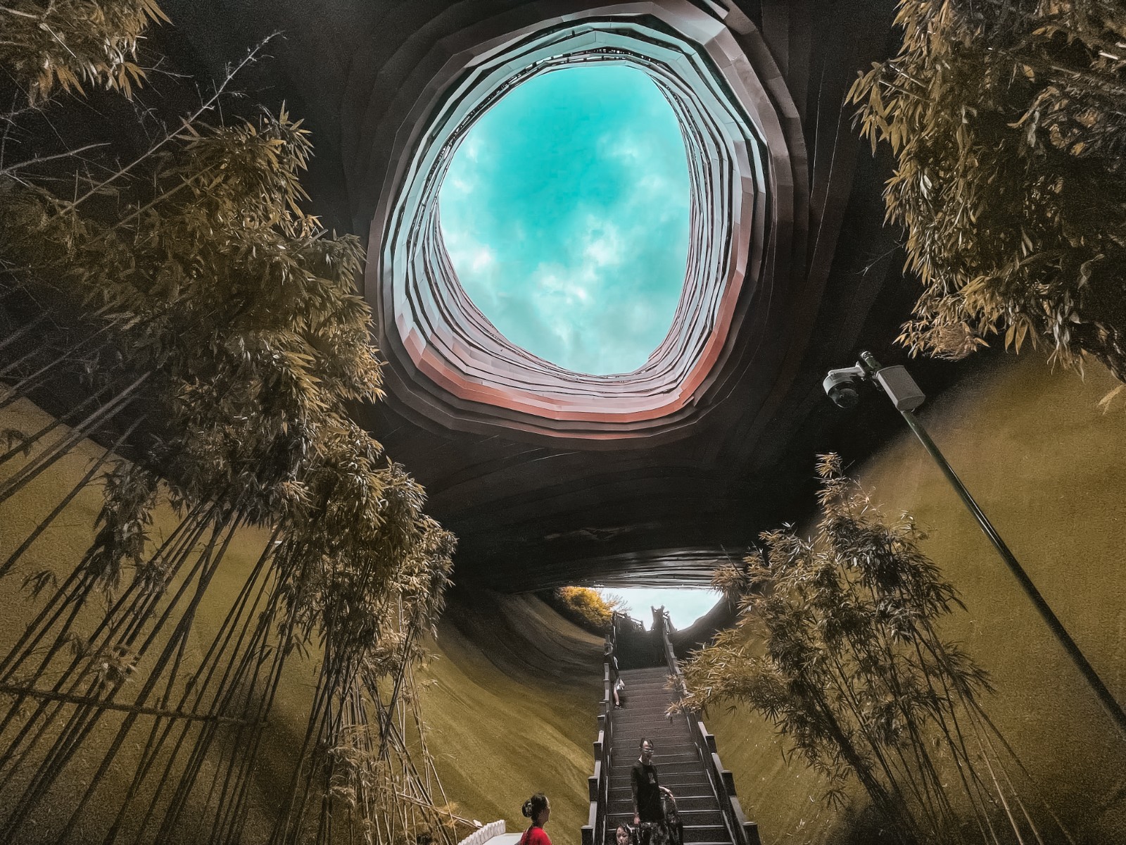 858胡微微 《洞》.jpg