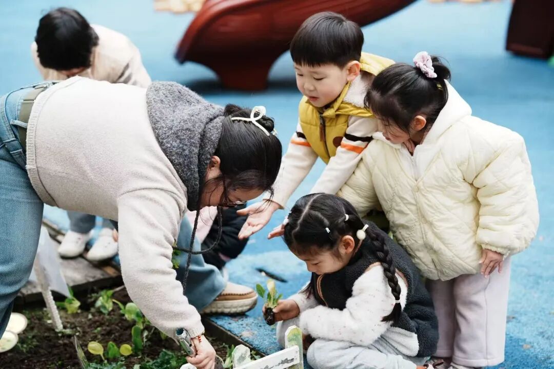 640 (10).jpg 640 (10).jpg