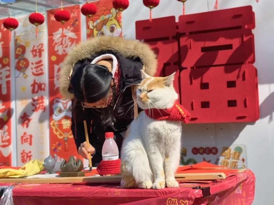 l_CB20260303200519309041.jpg l_CB20260303200519309041.jpg